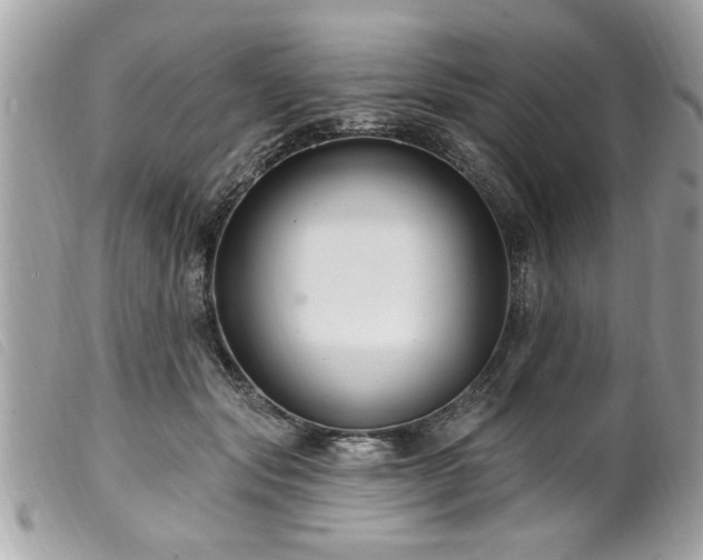 X0000100210557200805301328