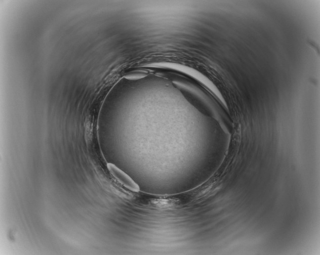 X0000100210558200805301328