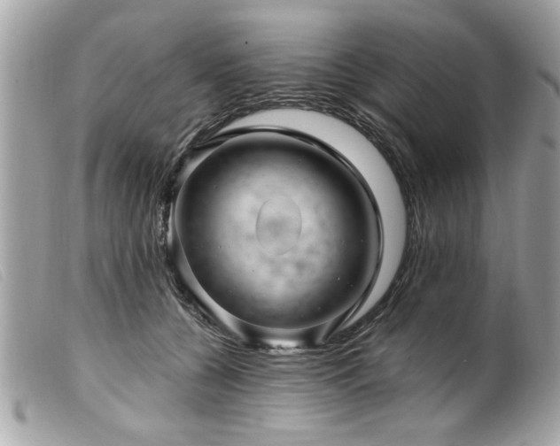 X0000100210560200805301328