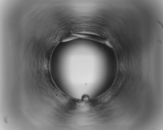 X0000100210561200805301328