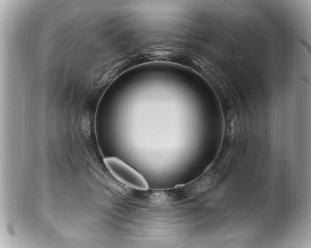 X0000100210562200805301328