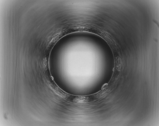 X0000100210563200805301328