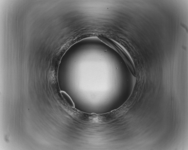 X0000100210564200805301328