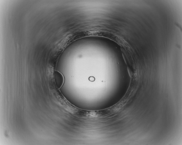 X0000100210565200805301328