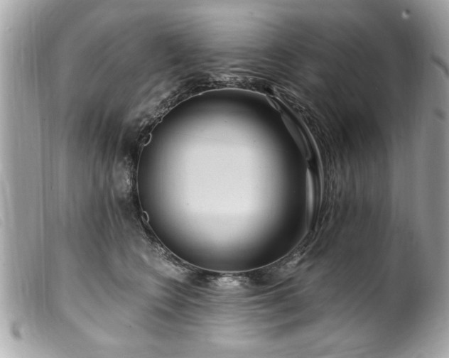 X0000100210566200805301328