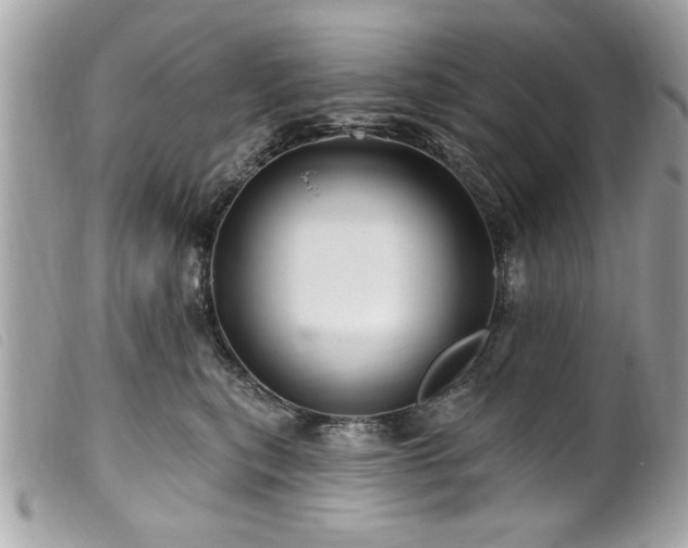 X0000100210567200805301328