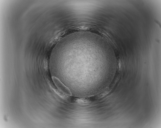 X0000100210568200805301328