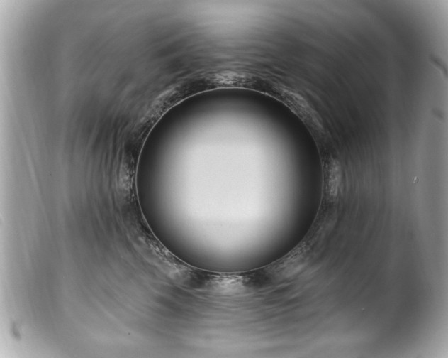 X0000100210569200805301328