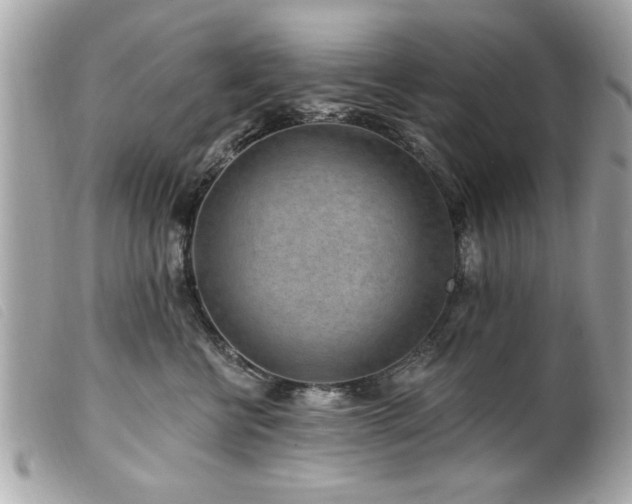 X0000100210570200805301328