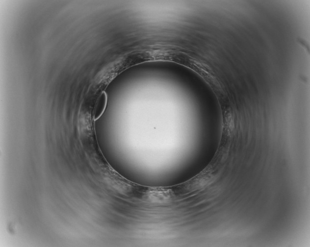 X0000100210571200805301328