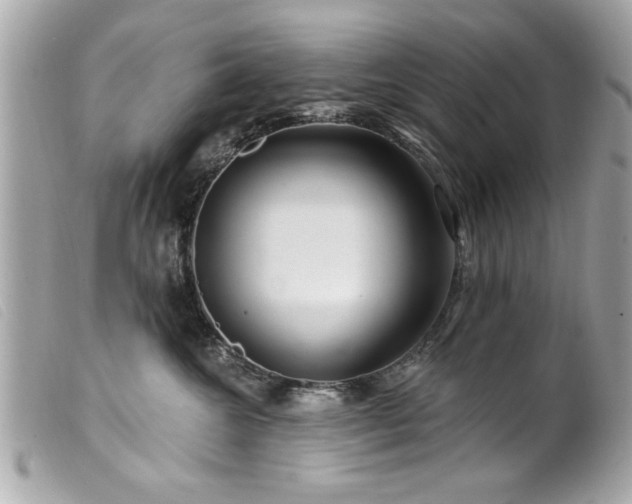 X0000100210572200805301328