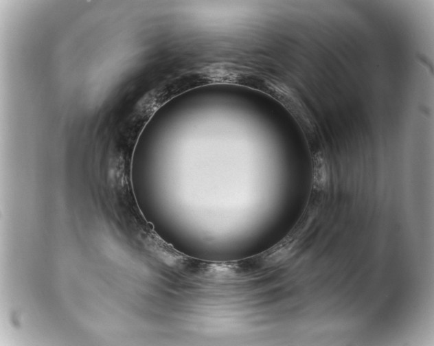 X0000100210573200805301328