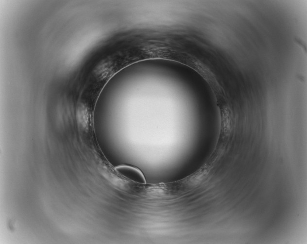 X0000100210574200805301328