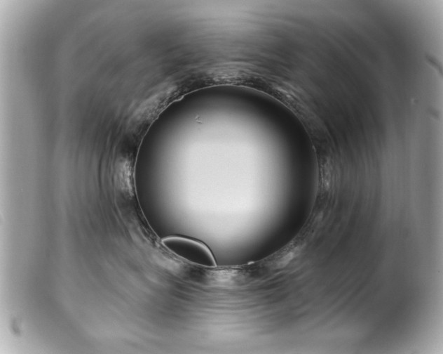 X0000100210575200805301328