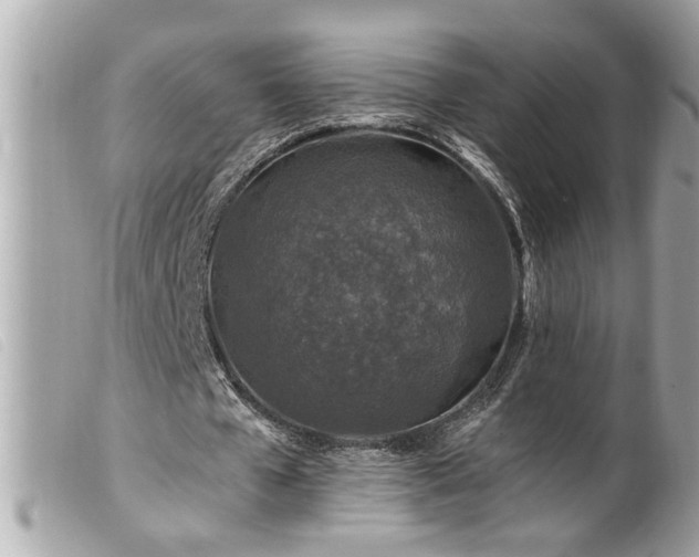 X0000100210577200805301328