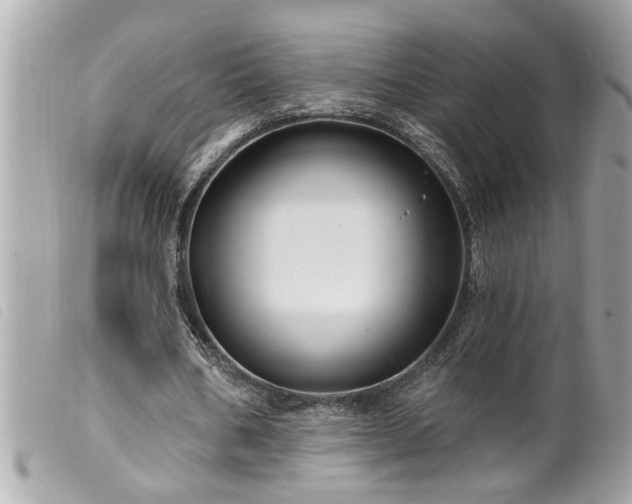 X0000100210578200805301328