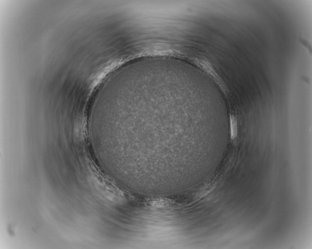 X0000100210579200805301328