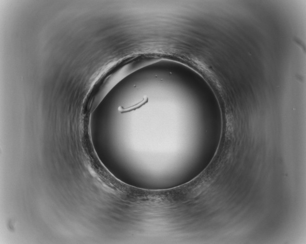 X0000100210580200805301328