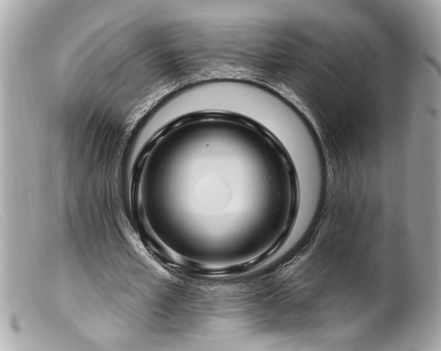 X0000100210581200805301327