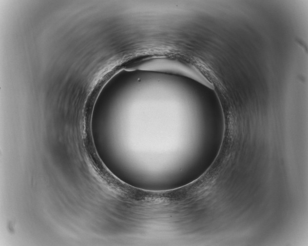 X0000100210582200805301327