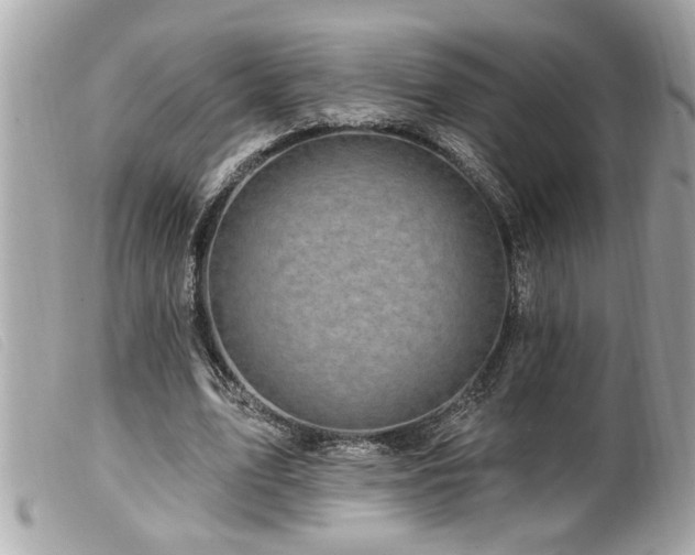 X0000100210583200805301327