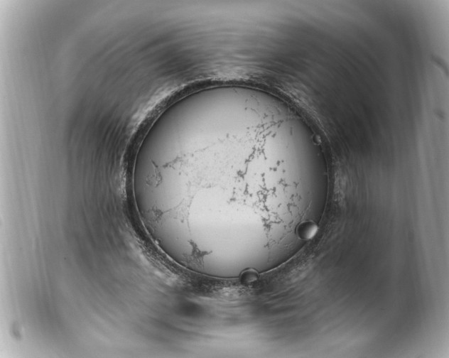 X0000100210584200805301327