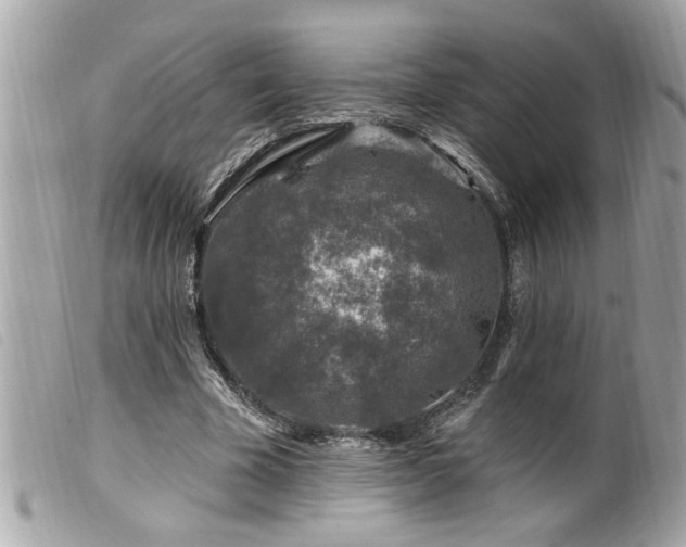 X0000100210585200805301327