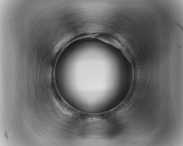 X0000100210586200805301327