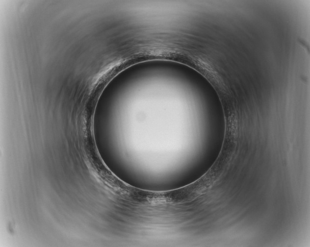 X0000100210587200805301327