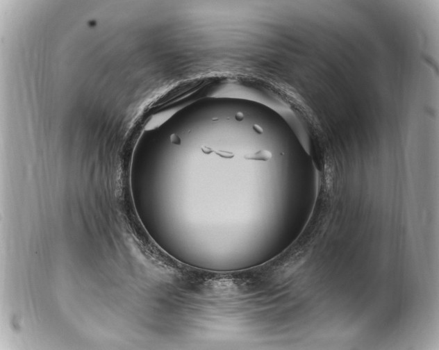 X0000100210588200805301327