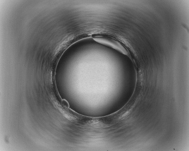 X0000100210589200805301327