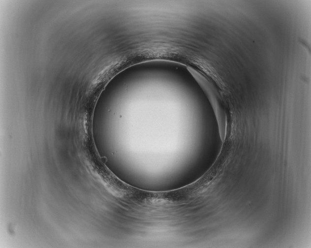 X0000100210590200805301327