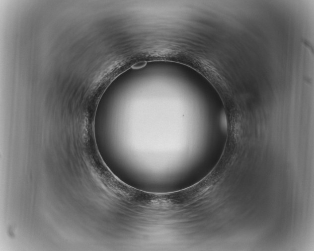 X0000100210591200805301327