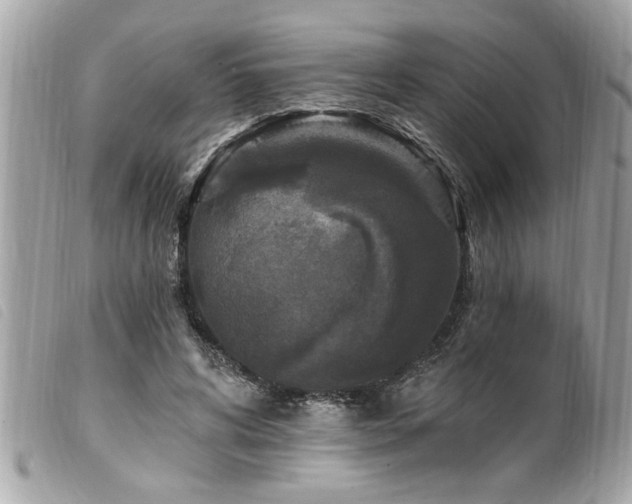 X0000100210592200805301327