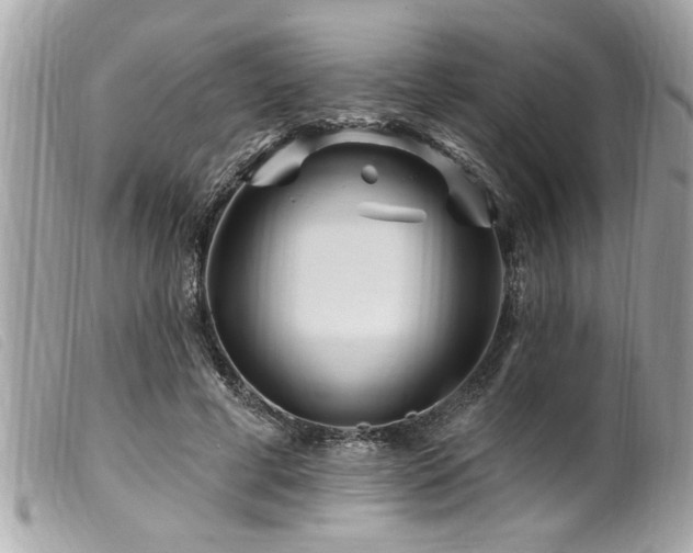 X0000100210593200805301327