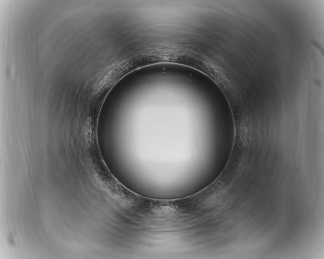 X0000100210594200805301327