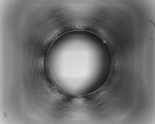 X0000100210595200805301327