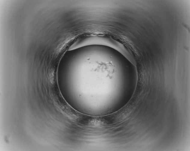 X0000100210596200805301327