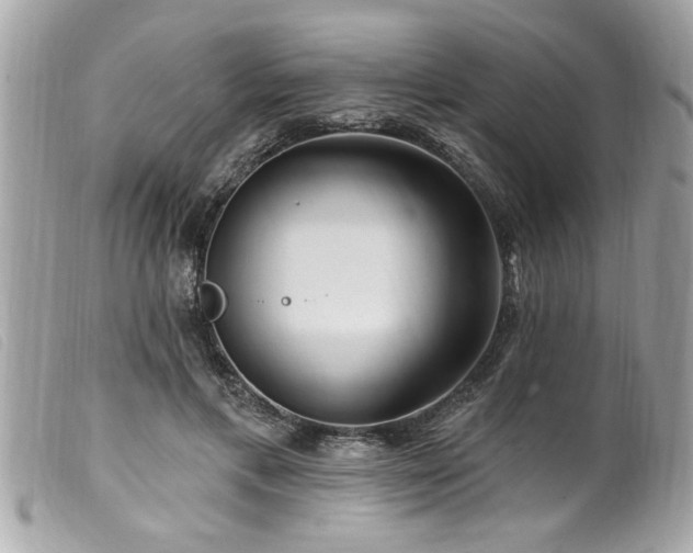 X0000100210597200805301327