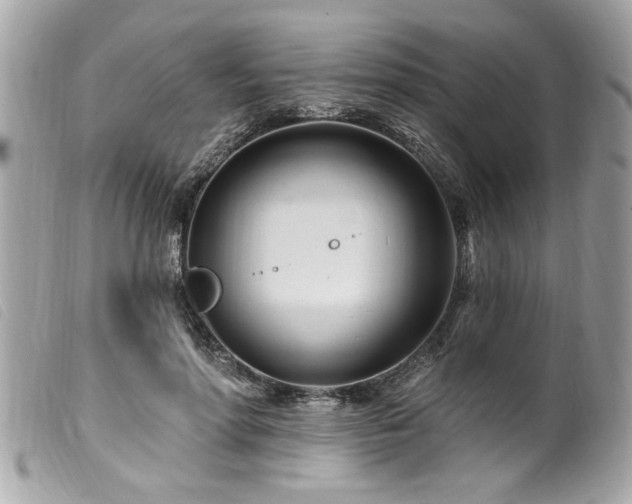 X0000100210598200805301327