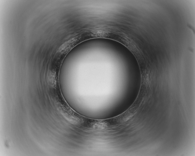 X0000100210599200805301327