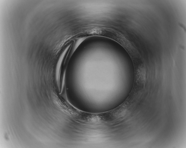 X0000100210600200805301327