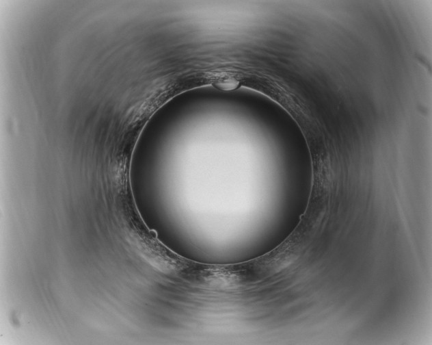 X0000100210601200805301327