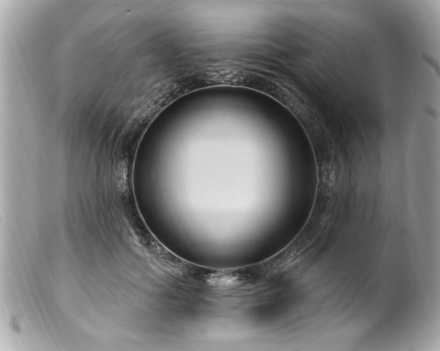 X0000100210602200805301327