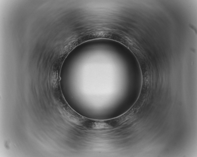 X0000100210605200805301327