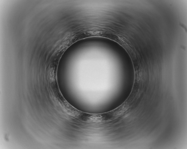 X0000100210606200805301327