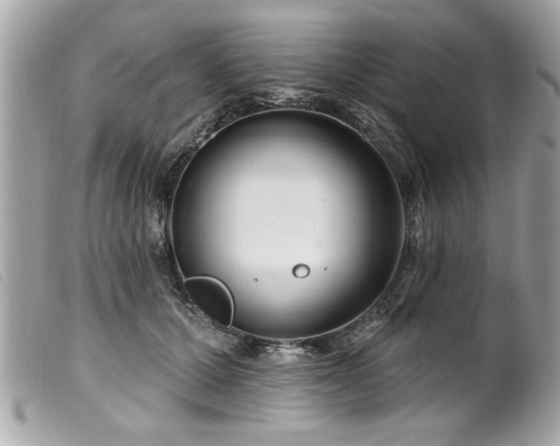 X0000100210607200805301327