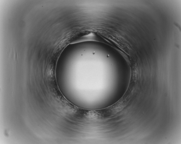 X0000100210608200805301327