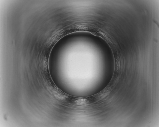 X0000100210609200805301327