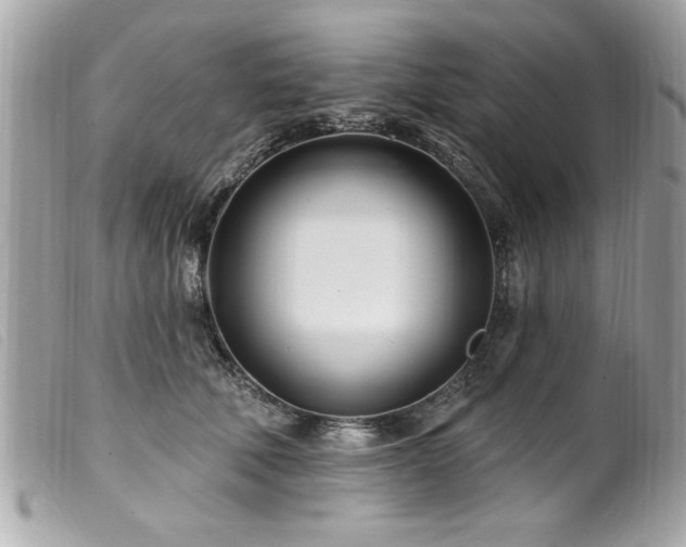 X0000100210610200805301327